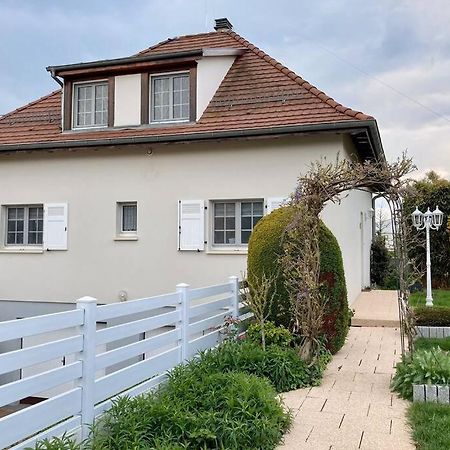 Le Papillon,Logement Cosy En Alsace Erstein Dış mekan fotoğraf