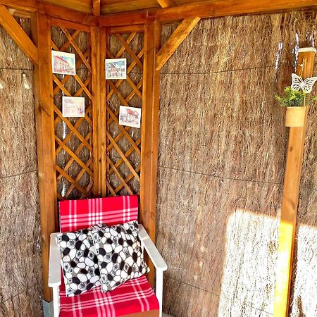 Le Papillon,Logement Cosy En Alsace Erstein Dış mekan fotoğraf