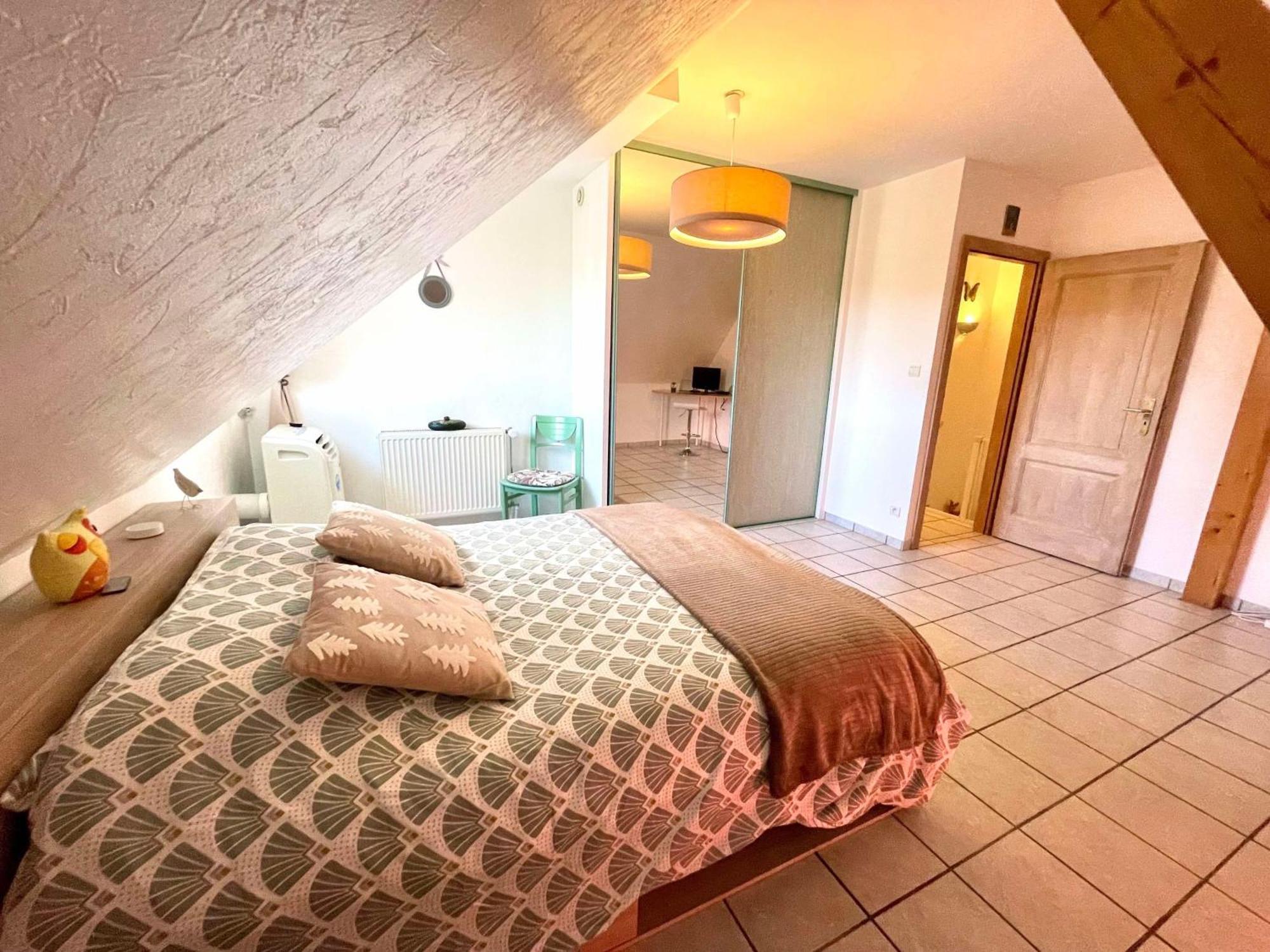 Le Papillon,Logement Cosy En Alsace Erstein Dış mekan fotoğraf