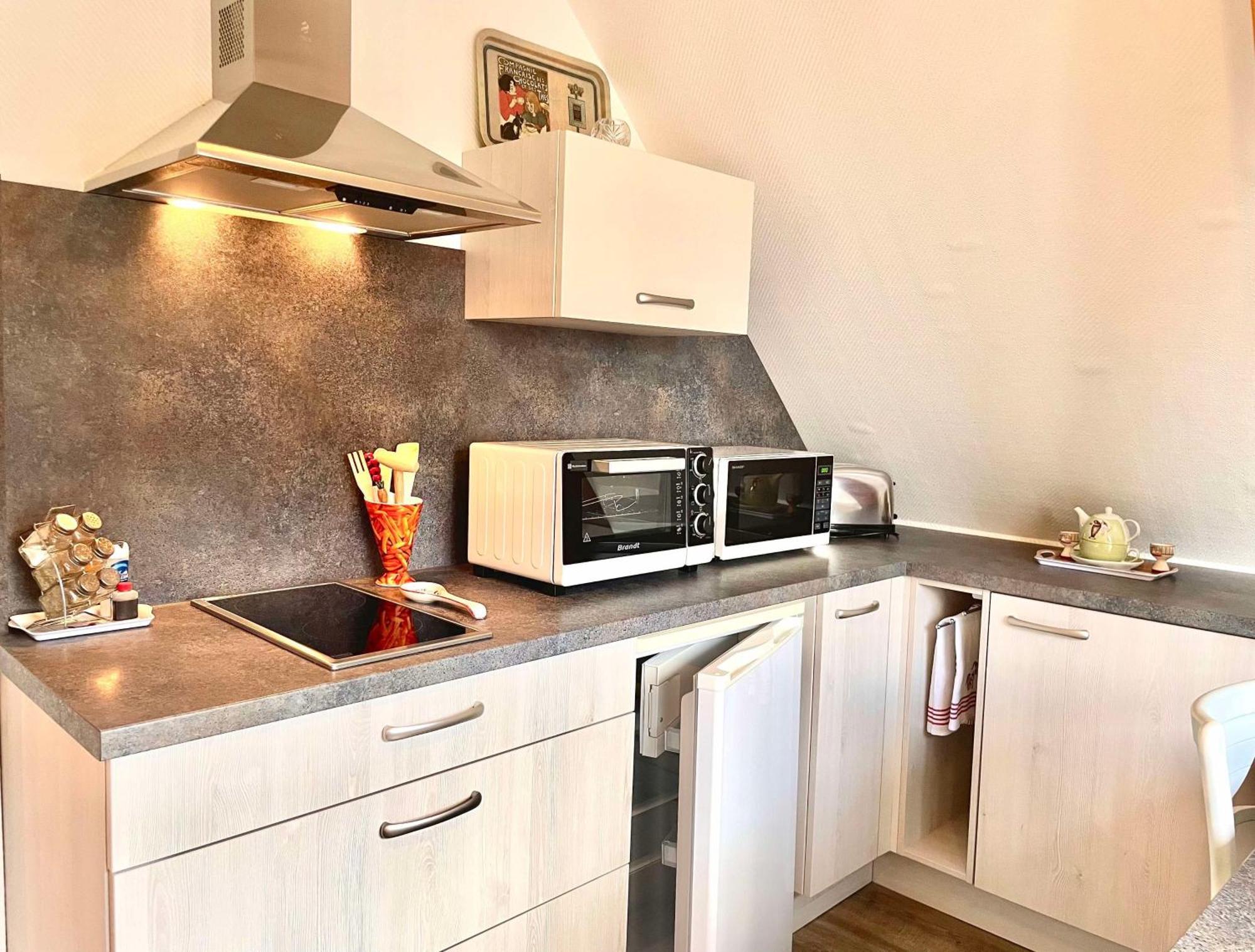 Le Papillon,Logement Cosy En Alsace Erstein Dış mekan fotoğraf